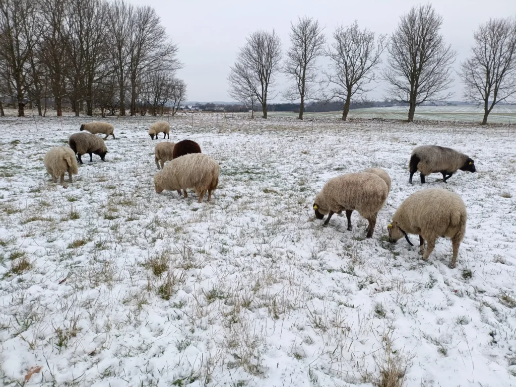 7/1/26 img 20260107 100226 scaled