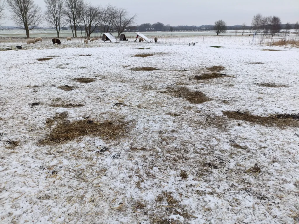 7/1/26 img 20260107 100552 scaled