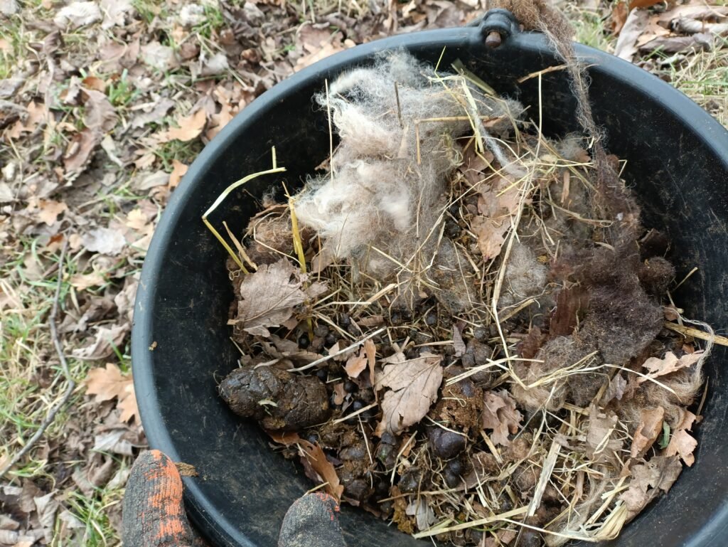 3/2/26 fåreekskrementer og råuld