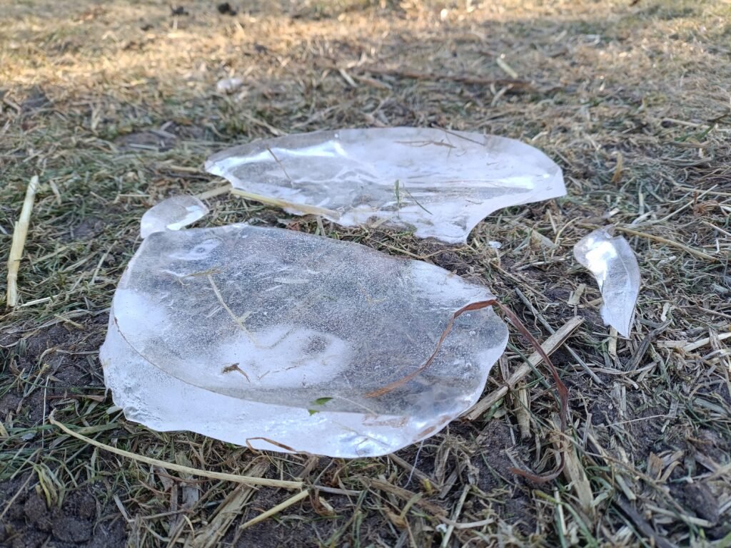 3/2/26 is fra drikkevandsspand