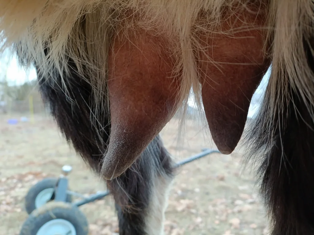 30/1/26 img 20260131 102829 scaled