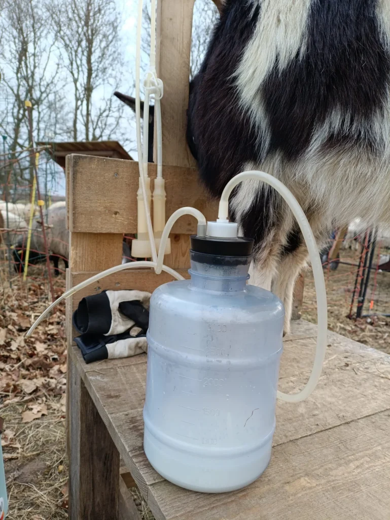 30/1/26 img 20260131 103258 scaled