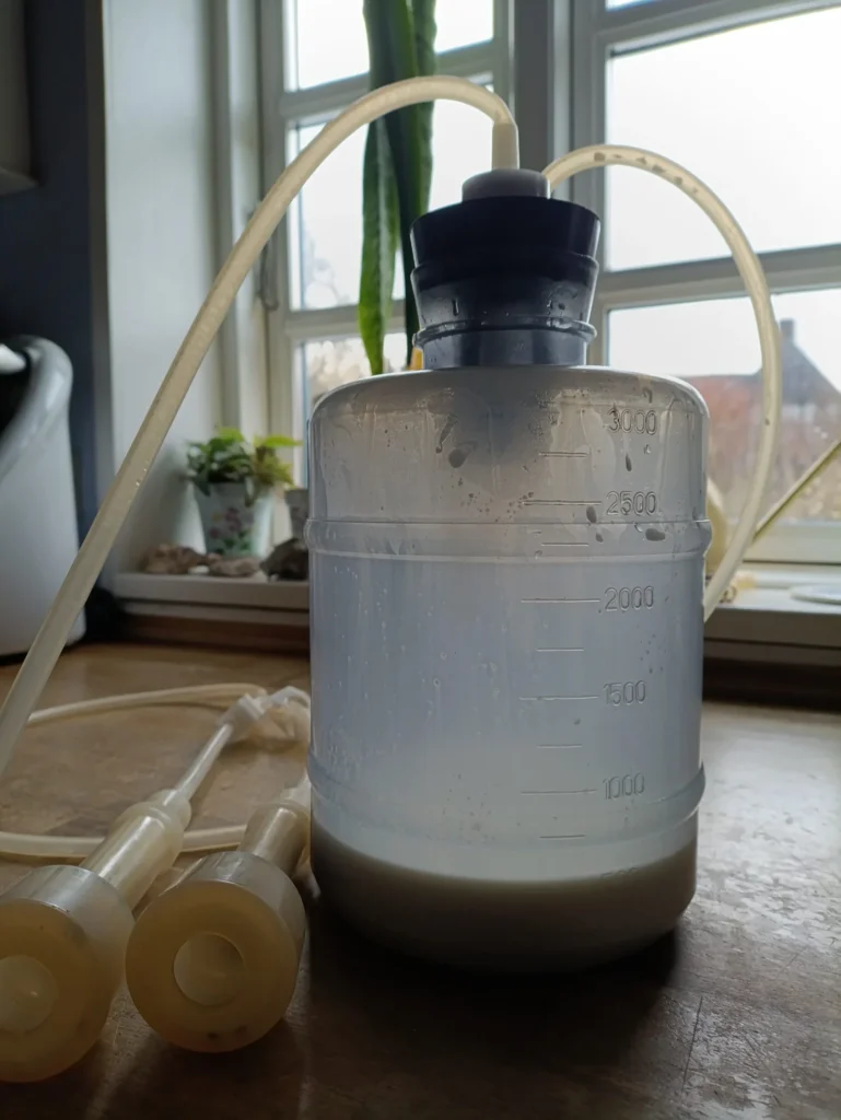 30/1/26 img 20260131 104915 scaled