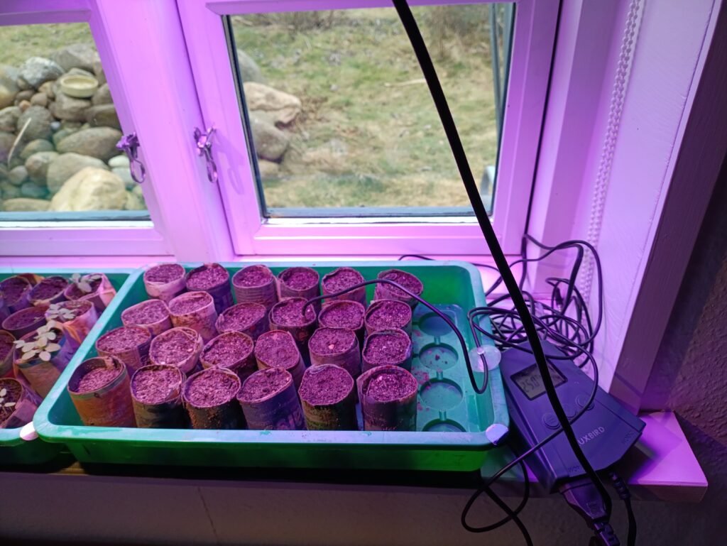 3f976af2 55e3 44ca 97ec 68f79317a973