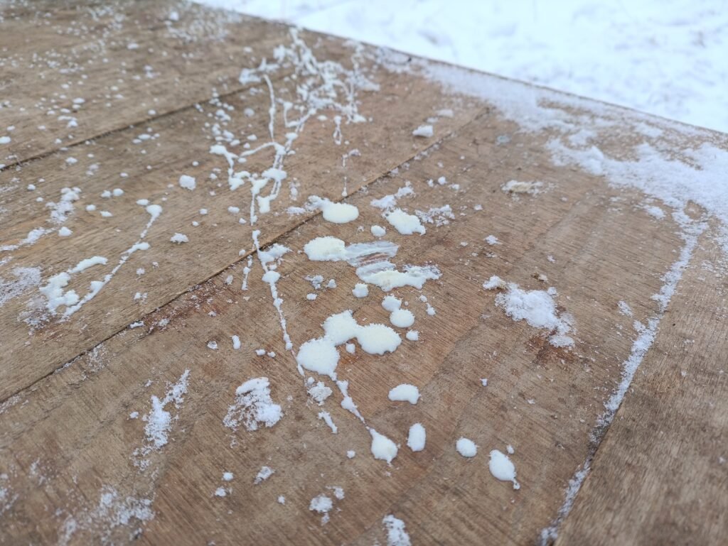 5e61e09e debd 4a72 8c53 3f9f1a1ea6ea