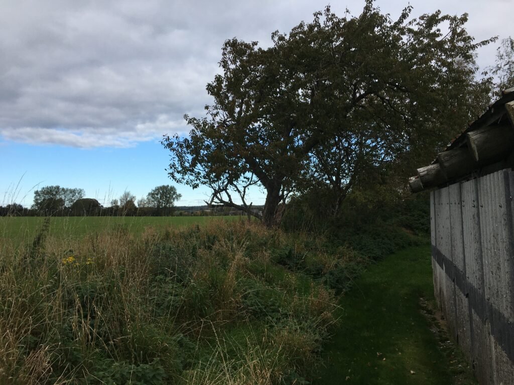 img 0893