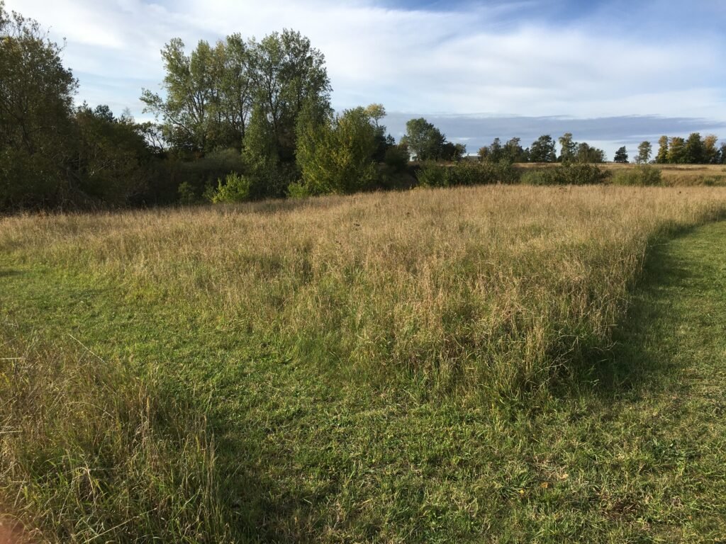 img 0920