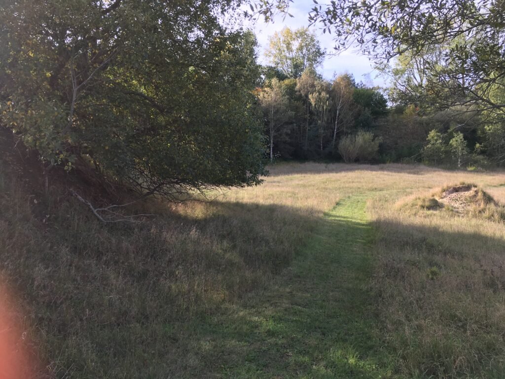 img 0927