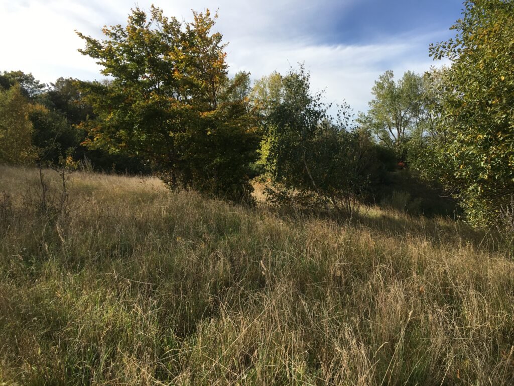 img 0933