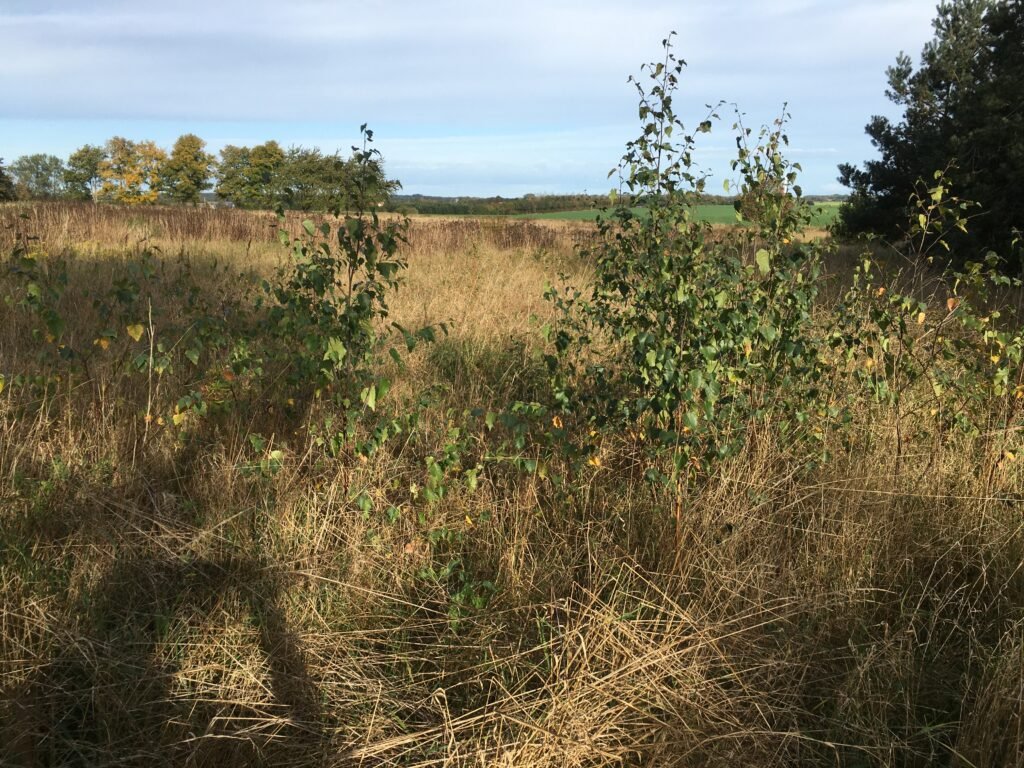 img 0936