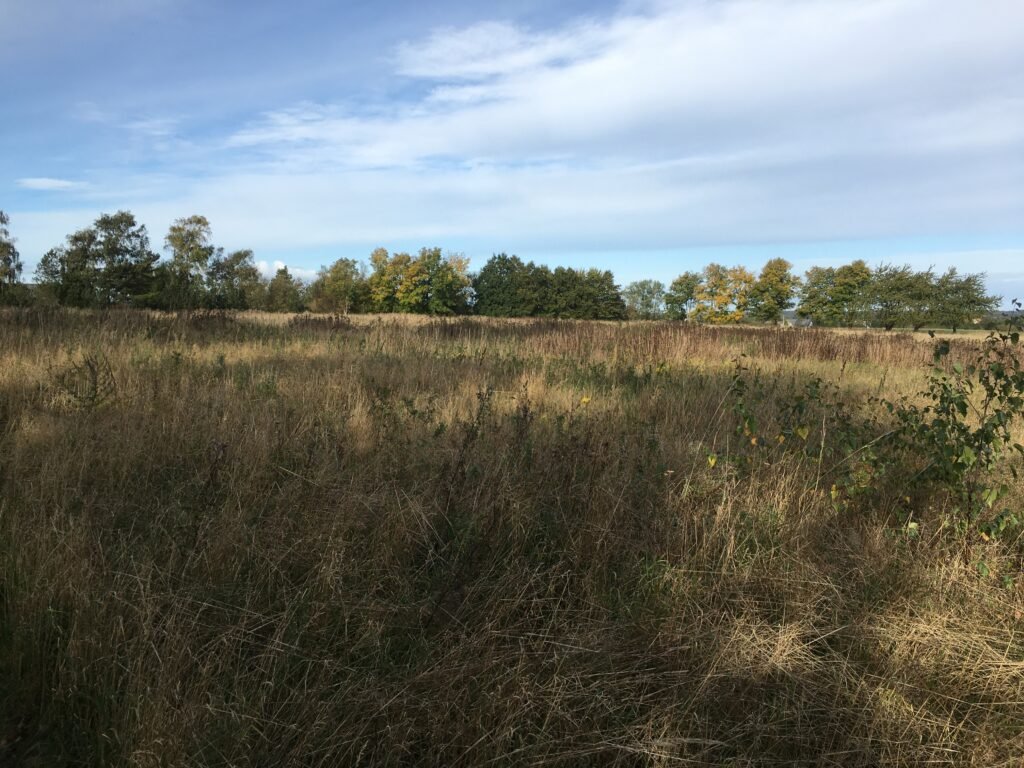 img 0940