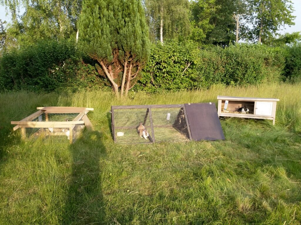 img 20210618 194325