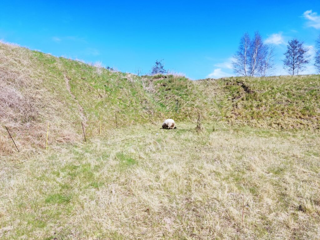 img 20220419 112055