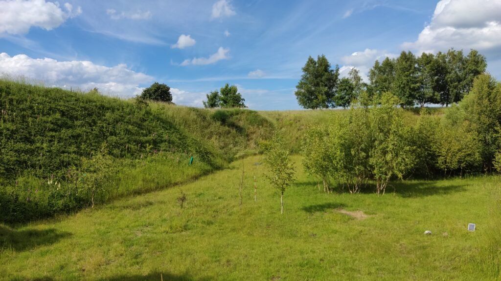 img 20240616 163757