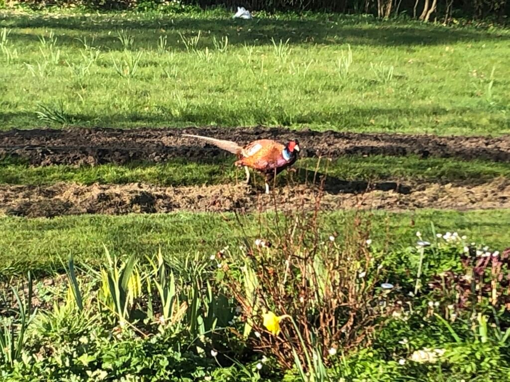 img 3363