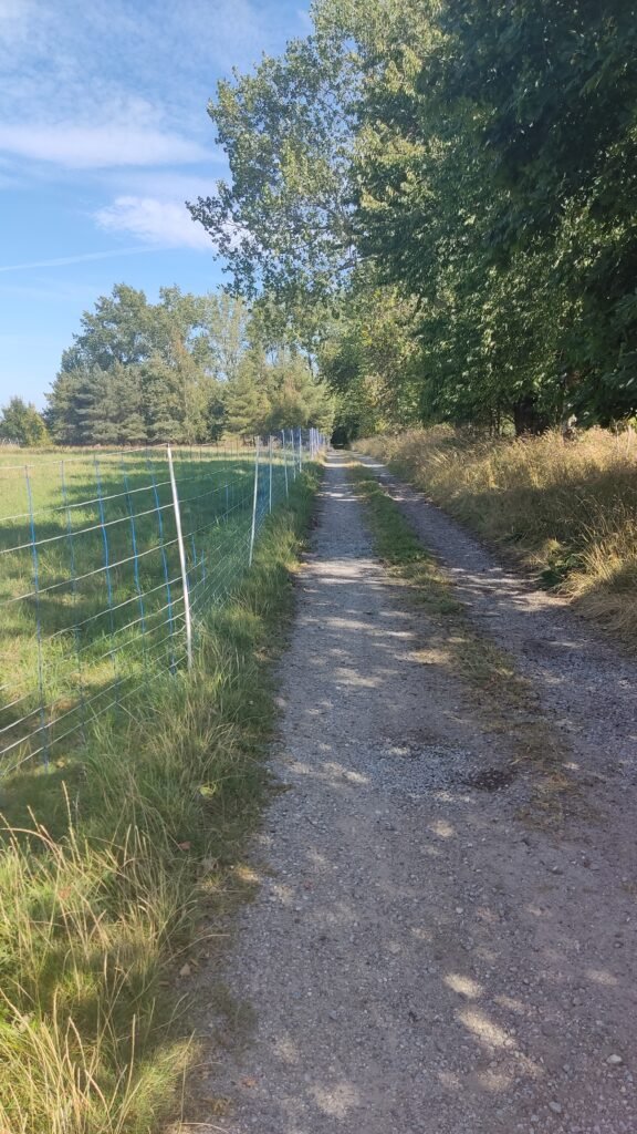blåt hegn